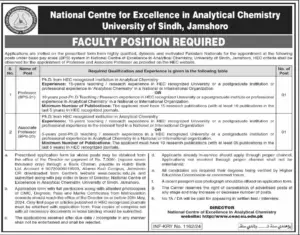 Sindh University National Center Excellence in Analytical Chemistry Jobs 2024